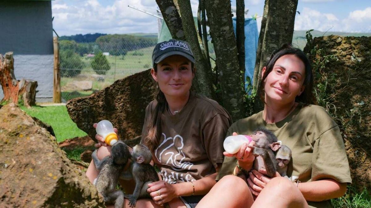 Zoé Tanguy : la Française qui redonne vie aux animaux en Afrique du Sud