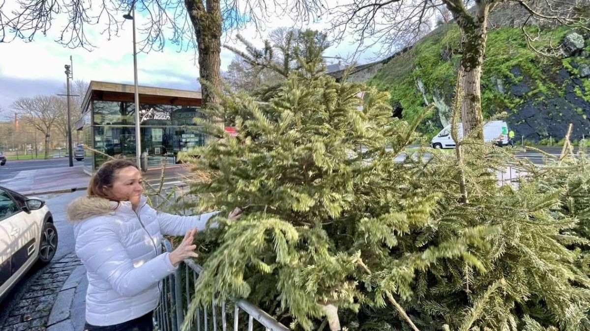 Saint-Lô se mobilise pour le recyclage des sapins de Noël