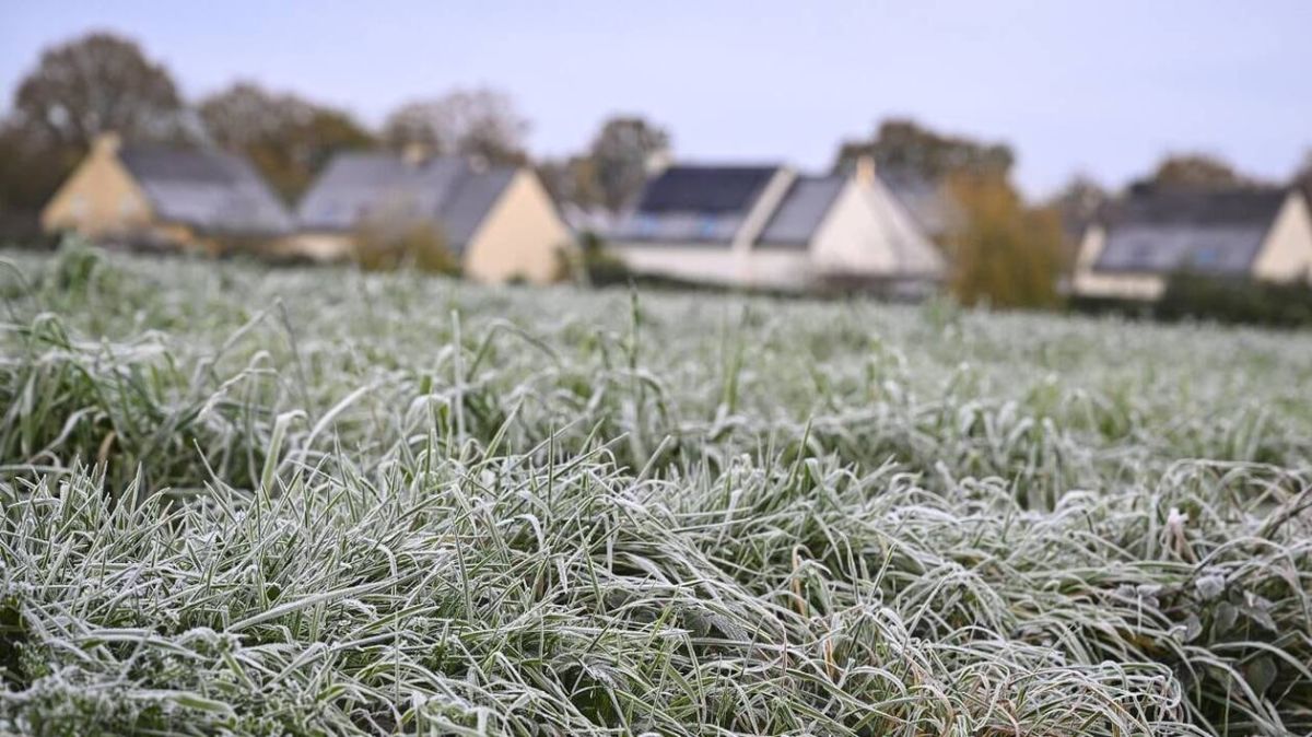 Ciel dégagé et températures glaciales : une fin d'année sous le signe du froid