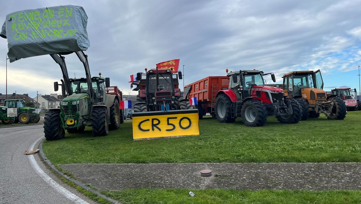 Agriculteurs en colère : blocages au port de Cherbourg et sur l'A84