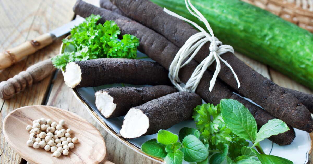 Découvrez le salsifis : un légume racine à savourer sous toutes ses formes