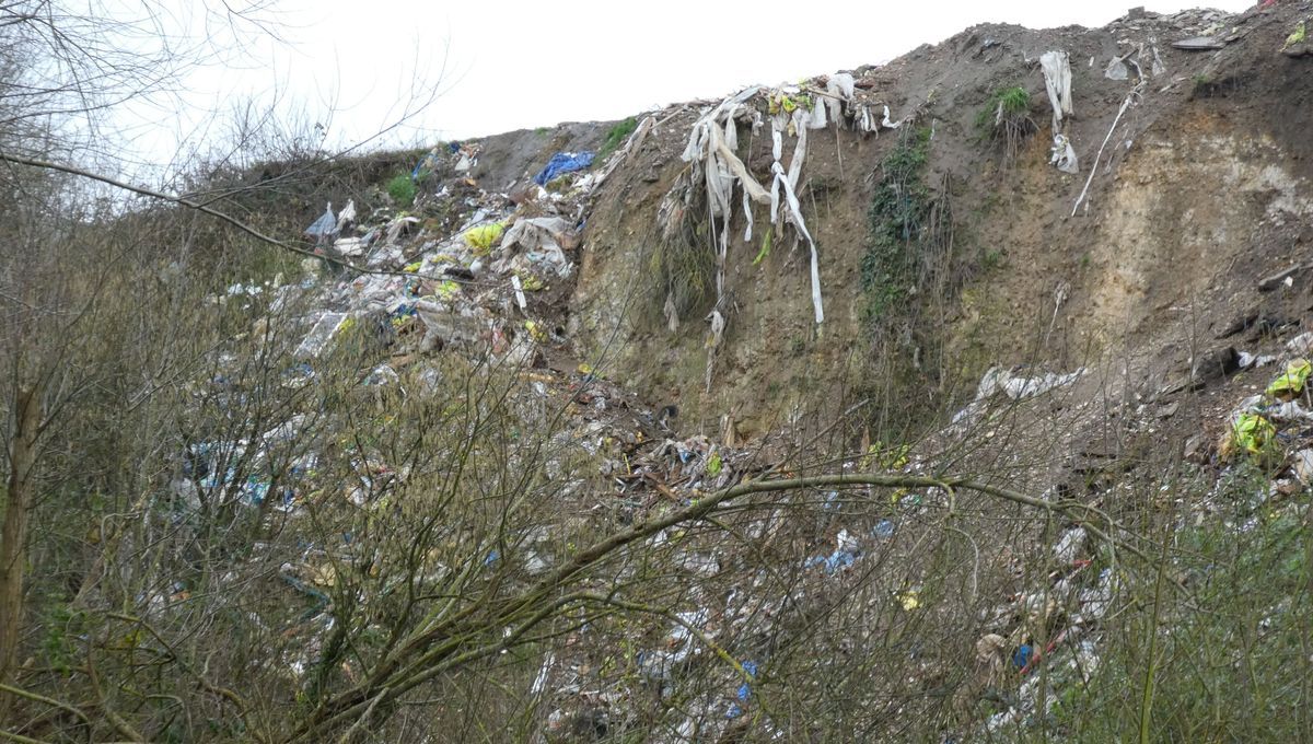 Des déchets au bord de la Seine : une décharge illégale à Saint-Aubin-sur-Quillebeuf