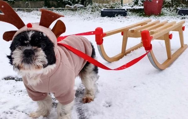 L'hiver s'installe en France : les paysages enchanteurs de la neige