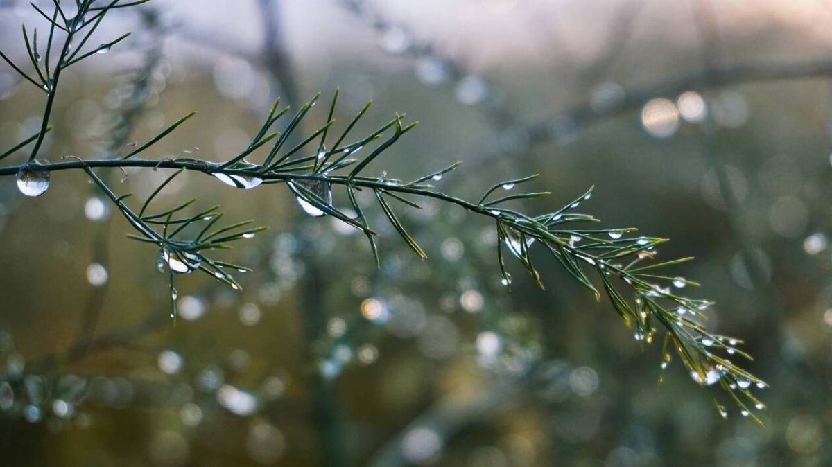 La pluie et le vent s'invitent à Rouen ce vendredi