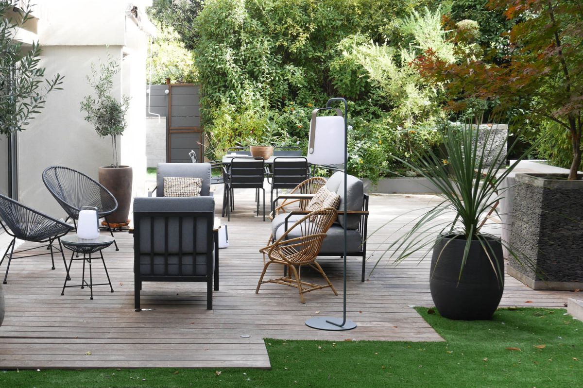 Un arbuste unique pour une terrasse stylée, toute l'année