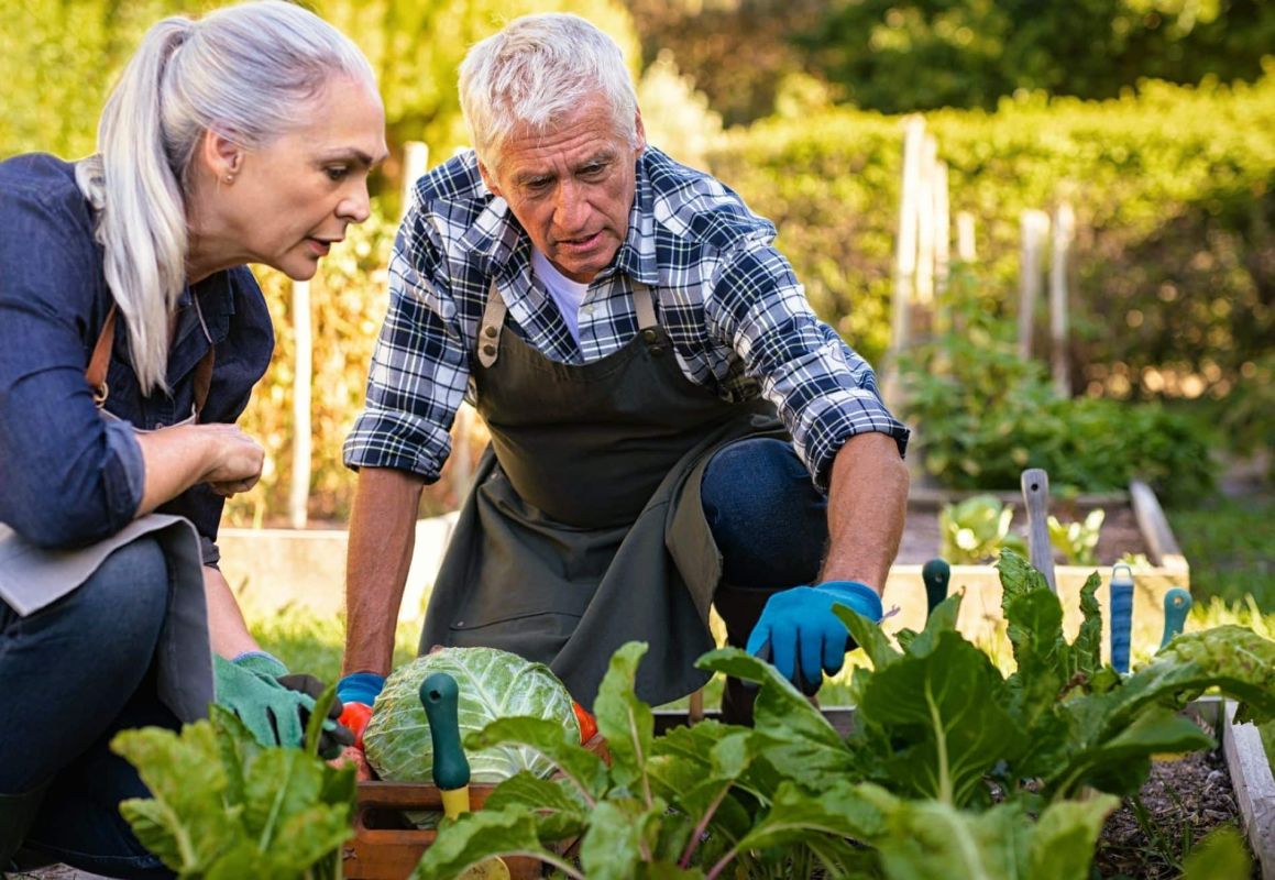 Les Sept Dormants : un repère précieux pour le jardinier moderne