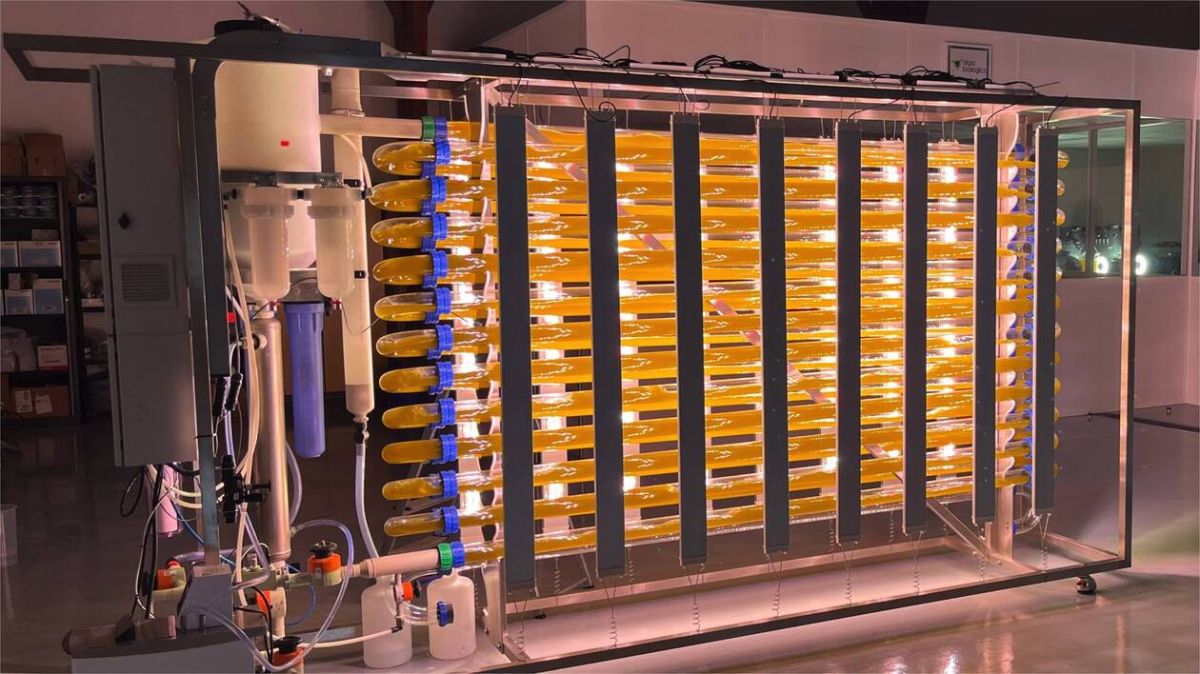 Alga Biologics lève 12 millions d'euros pour des anticorps innovants contre le cancer pédiatrique