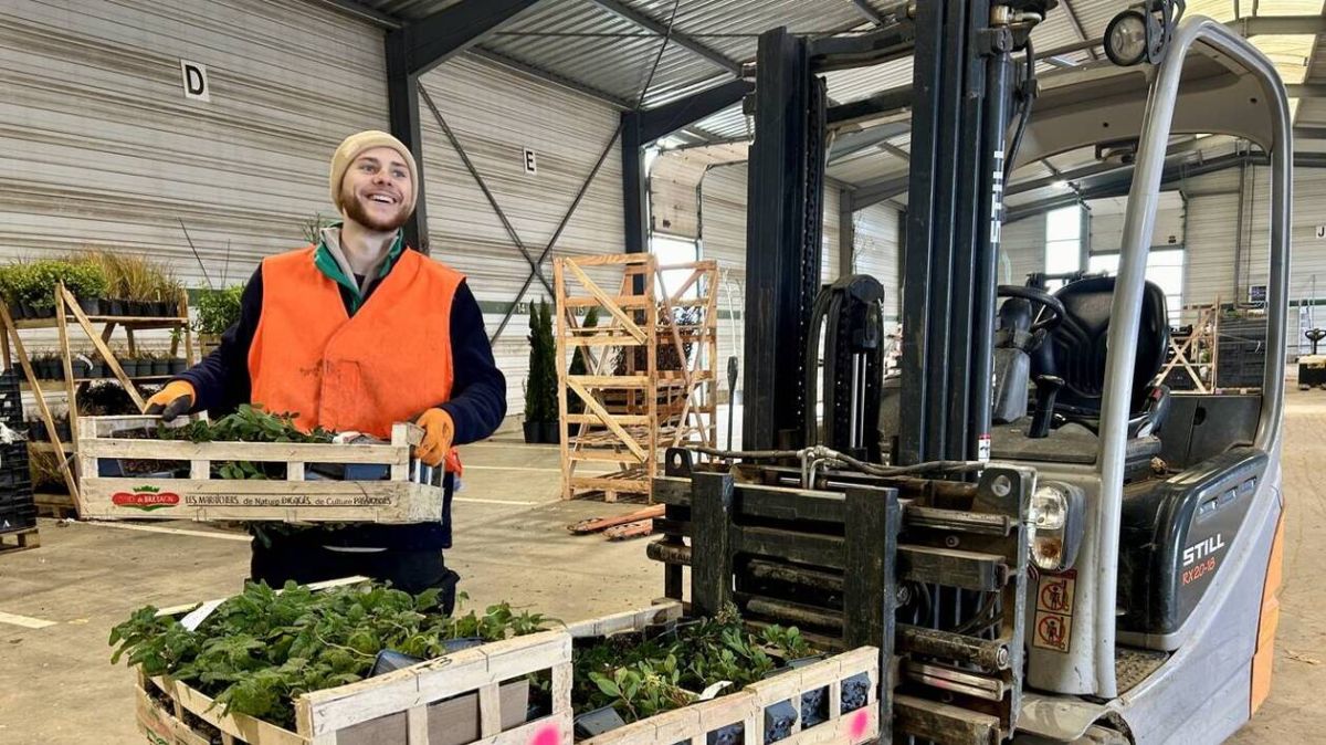La croissance florissante de Plandanjou : un acteur clé de la végétalisation urbaine