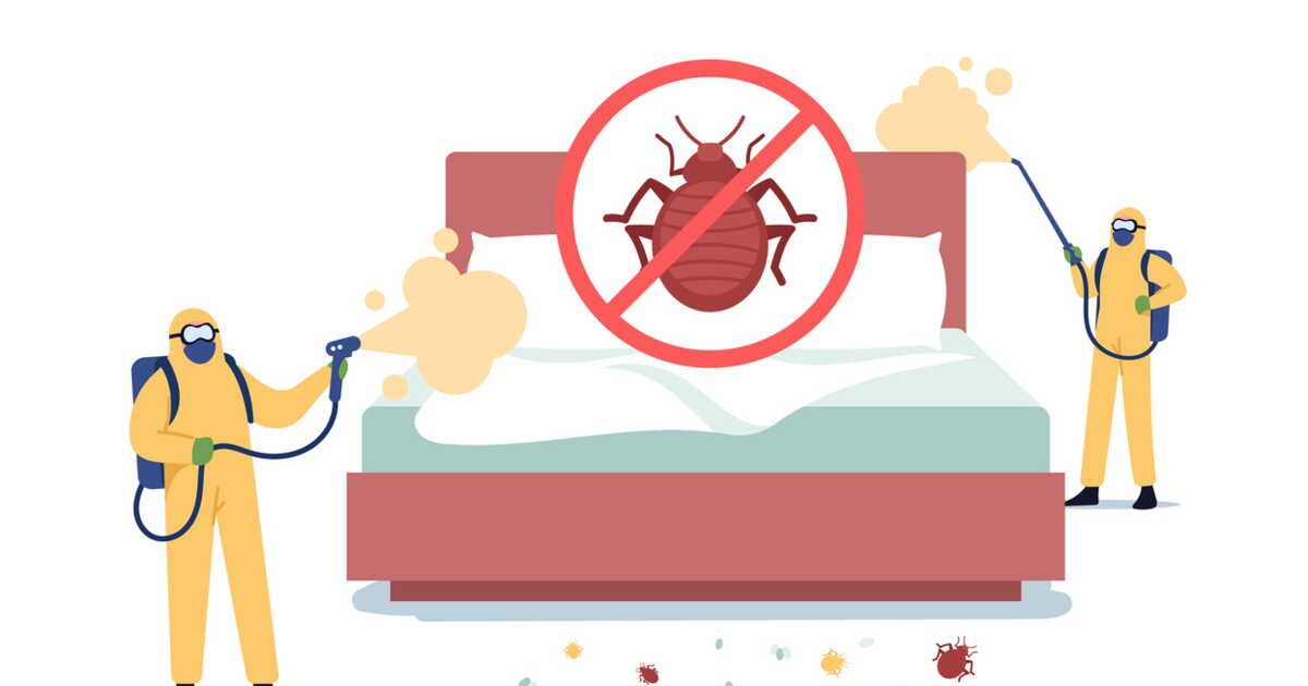 Lutter contre les punaises de lit : ce que vous devez savoir