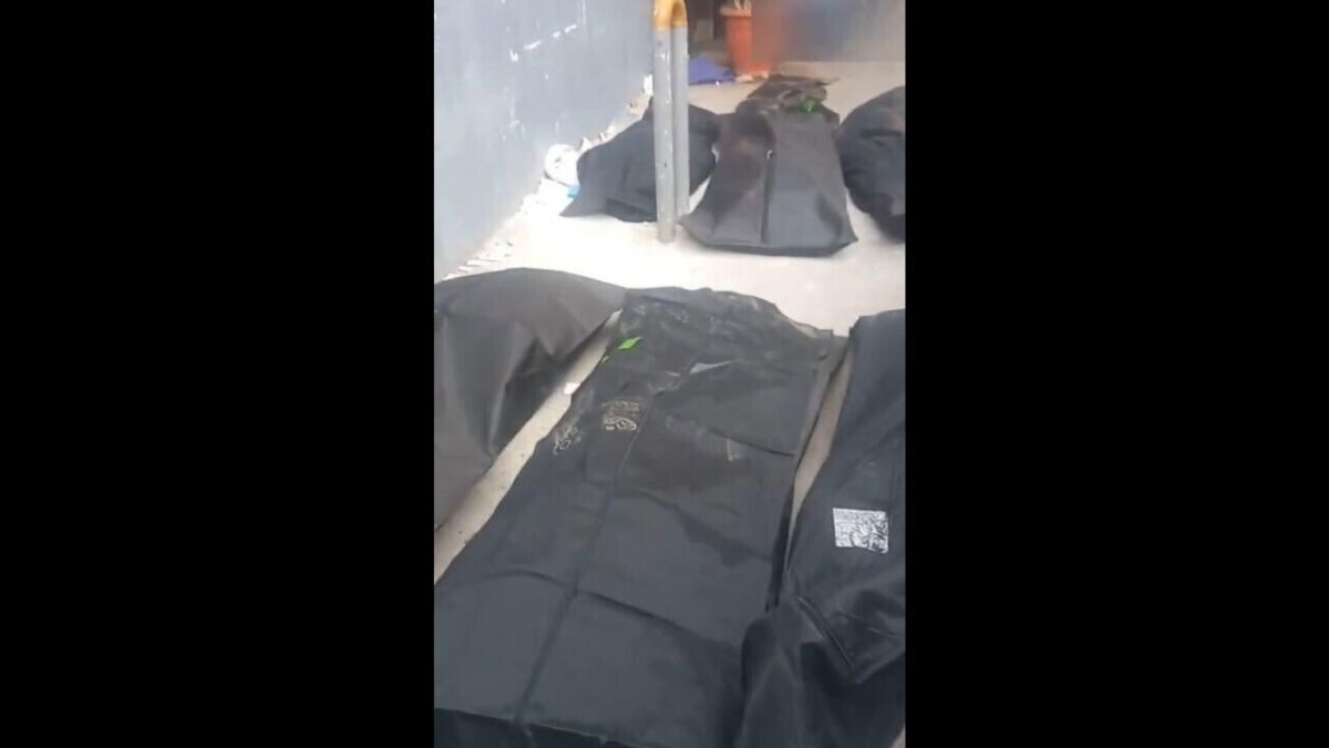 Répression en Iran : les images insoutenables d'une violence inouïe