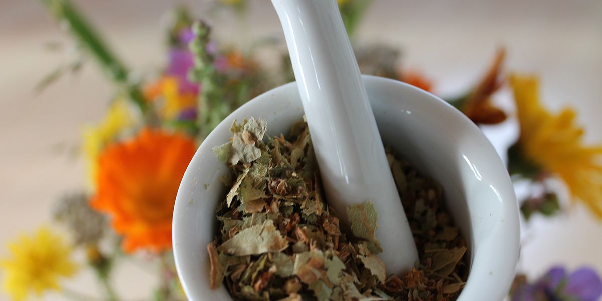 Les meilleures adresses pour acheter des plantes médicinales