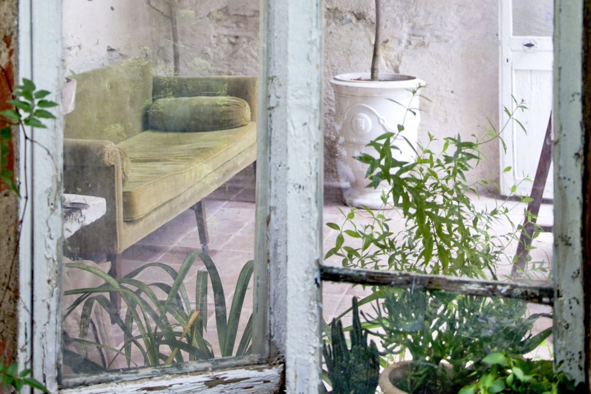 Créer un jardin d'hiver sous votre véranda : conseils pratiques et astuces déco