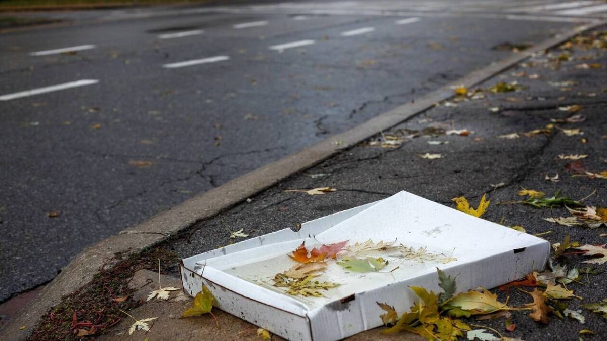 drame d'une retraitée : 700€ d'amende pour un carton emporté par le vent