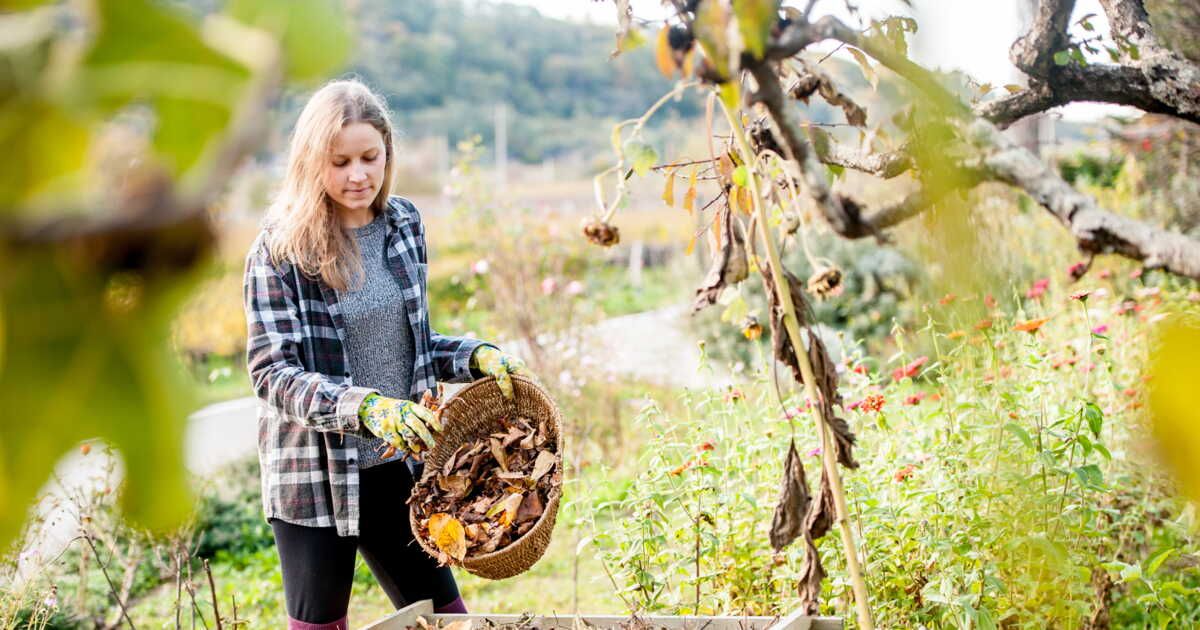 déchets verts : transformez vos résidus en ressources