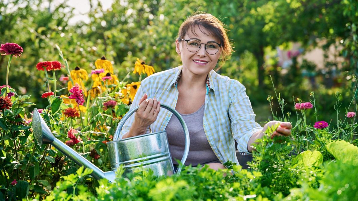 Pourquoi rien ne pousse plus dans votre potager et que faire ?