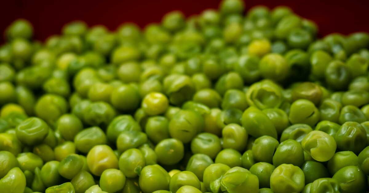 Quand et comment planter les petits pois ?