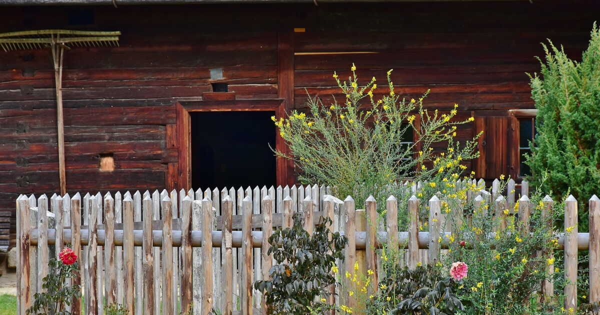 Comment entretenir votre jardin pendant vos vacances ?