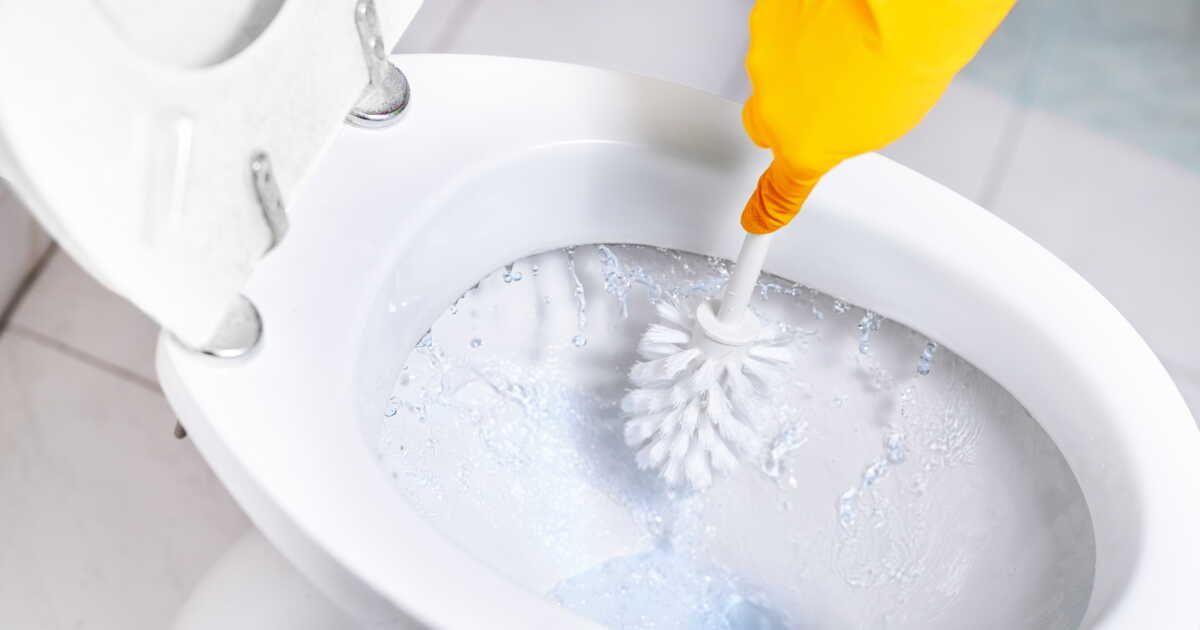 À quelle fréquence devez-vous remplacer votre brosse de WC ?