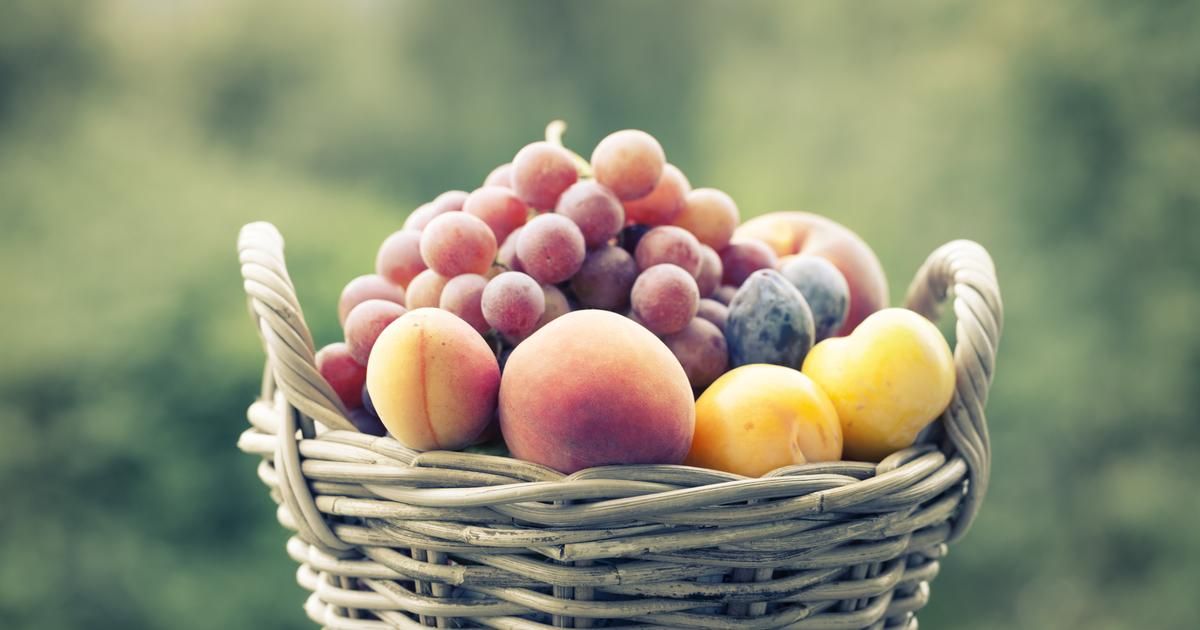 Comment choisir des fruits savoureux : astuces du meilleur primeur