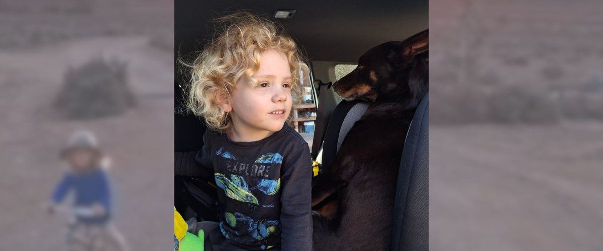 Recherches intensifiées pour retrouver Gus Lamont : que sait-on vraiment ?