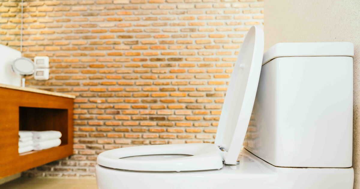 Comment réduire le coût de vos passages aux toilettes et faire des économies d'eau