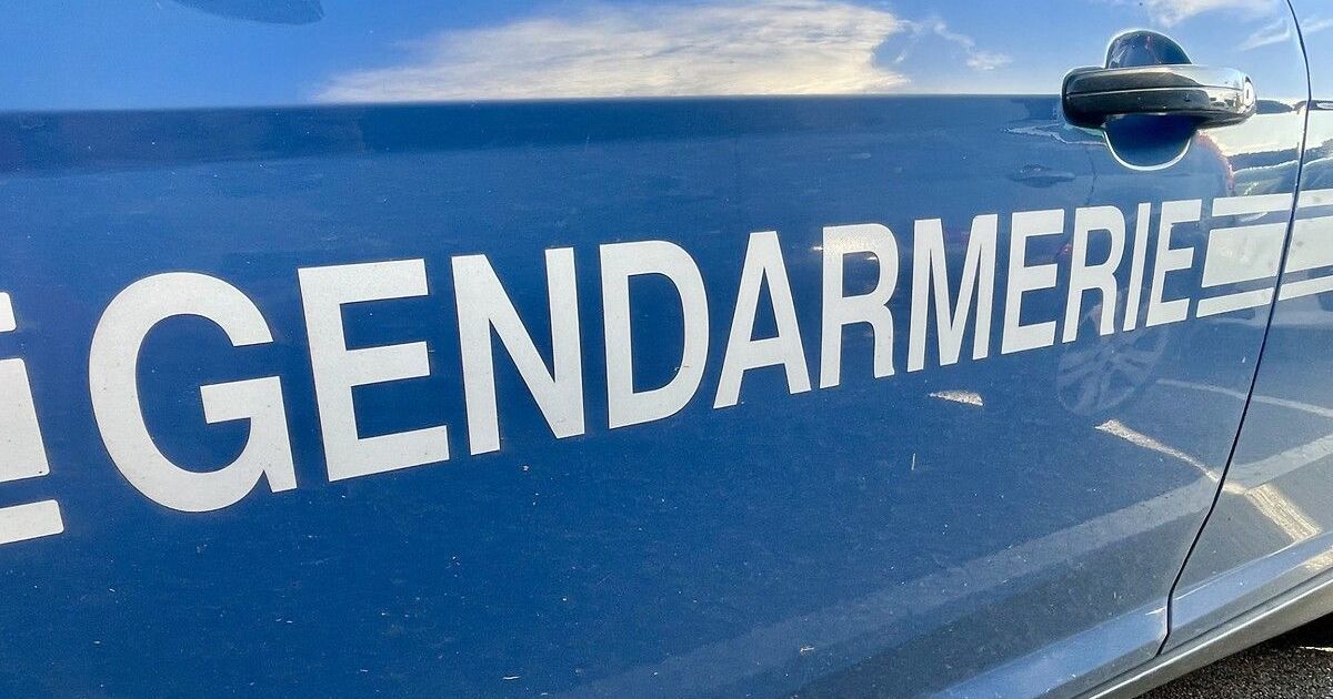 Incendies volontaires : un homme condamné pour sa vengeance sur des exploitations agricoles