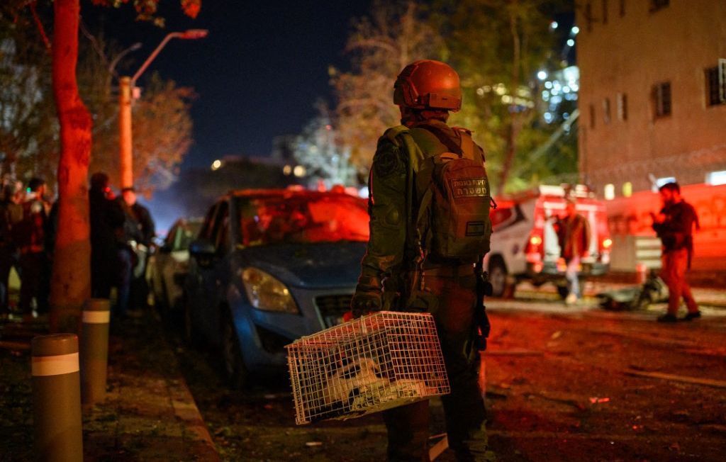 La France s'engage pour le rapatriement des animaux de compagnie en temps de guerre