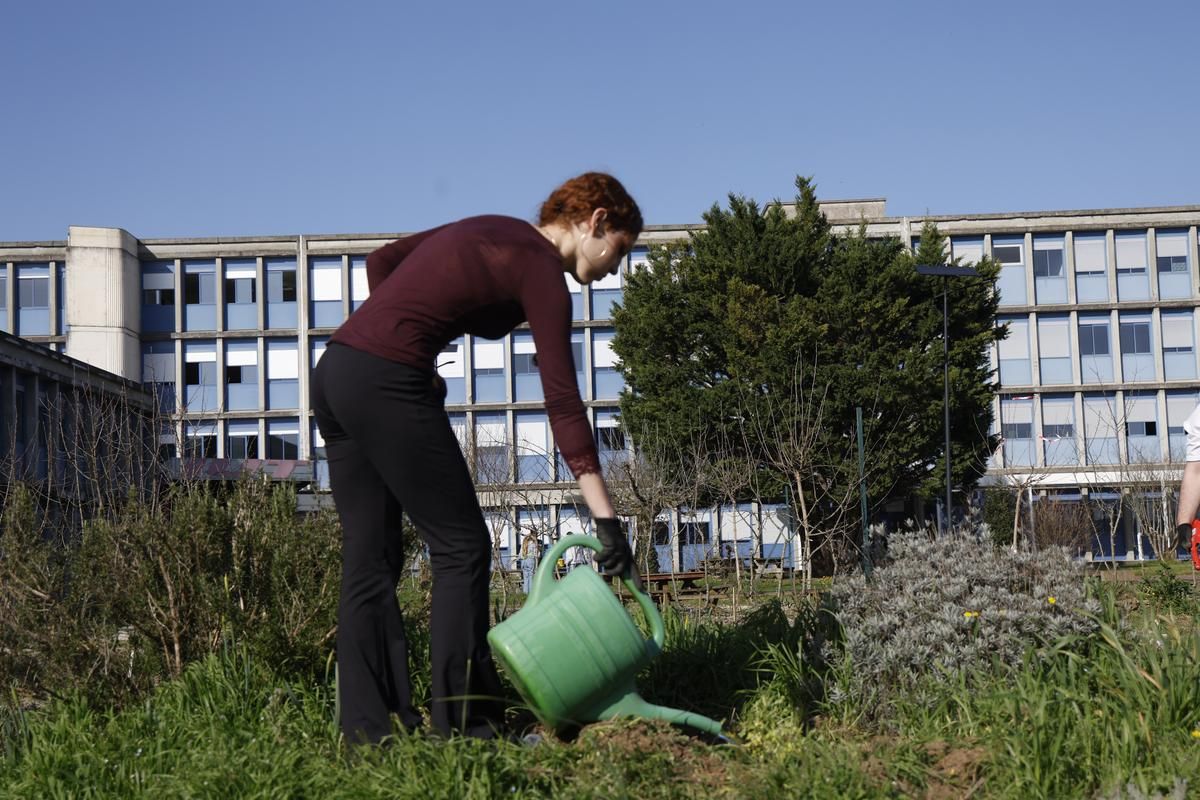 « Il faut reconnecter les jeunes à la terre » : du jardinage partagé au Campus Périgord