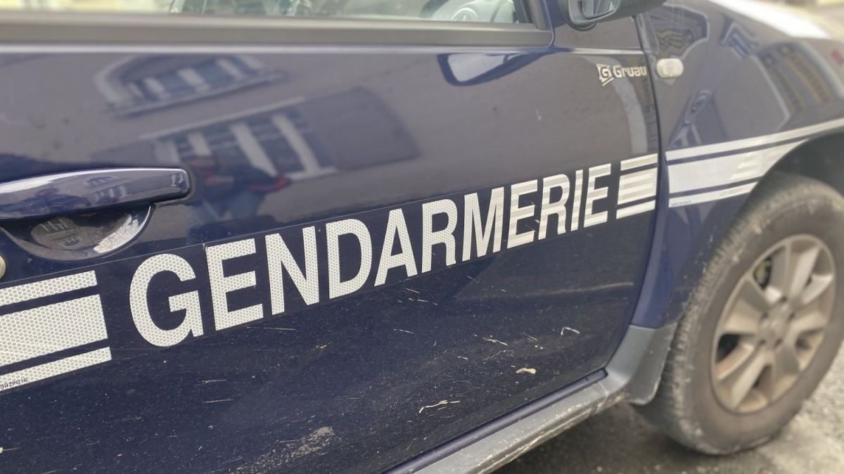 Suspicion de maltraitance : une famille d'accueil dans les Landes sous les feux des gendarmes