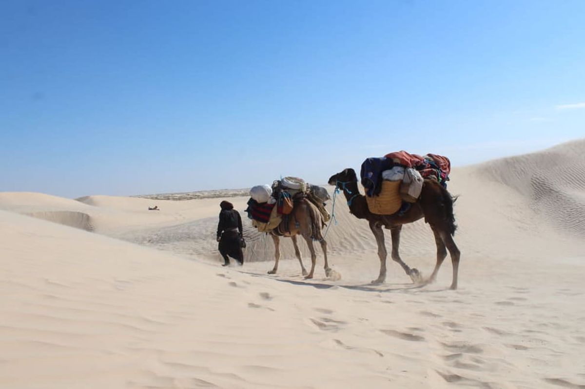 Gagnez 500 euros chez Négusto en partageant vos recettes