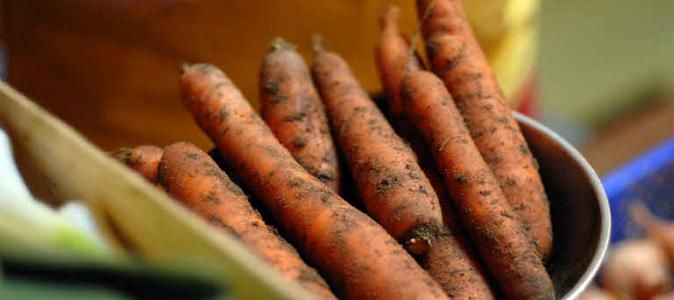 À la découverte des Amap : l'art du panier local