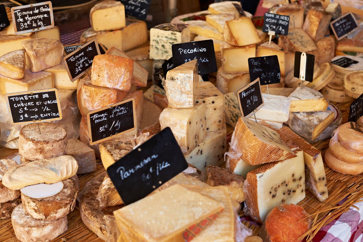 Des fromages sans lactose : le guide des plaisirs laitiers
