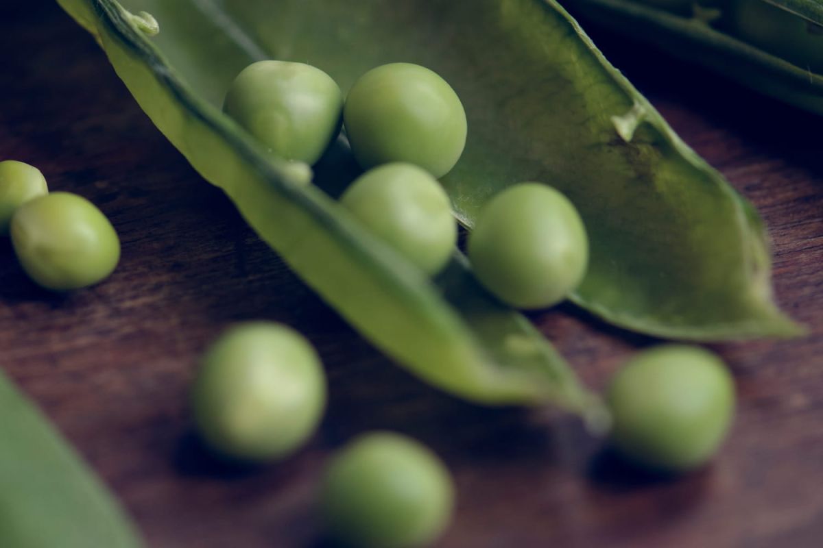 Redécouvrez les cosses de petits pois : des idées créatives en cuisine