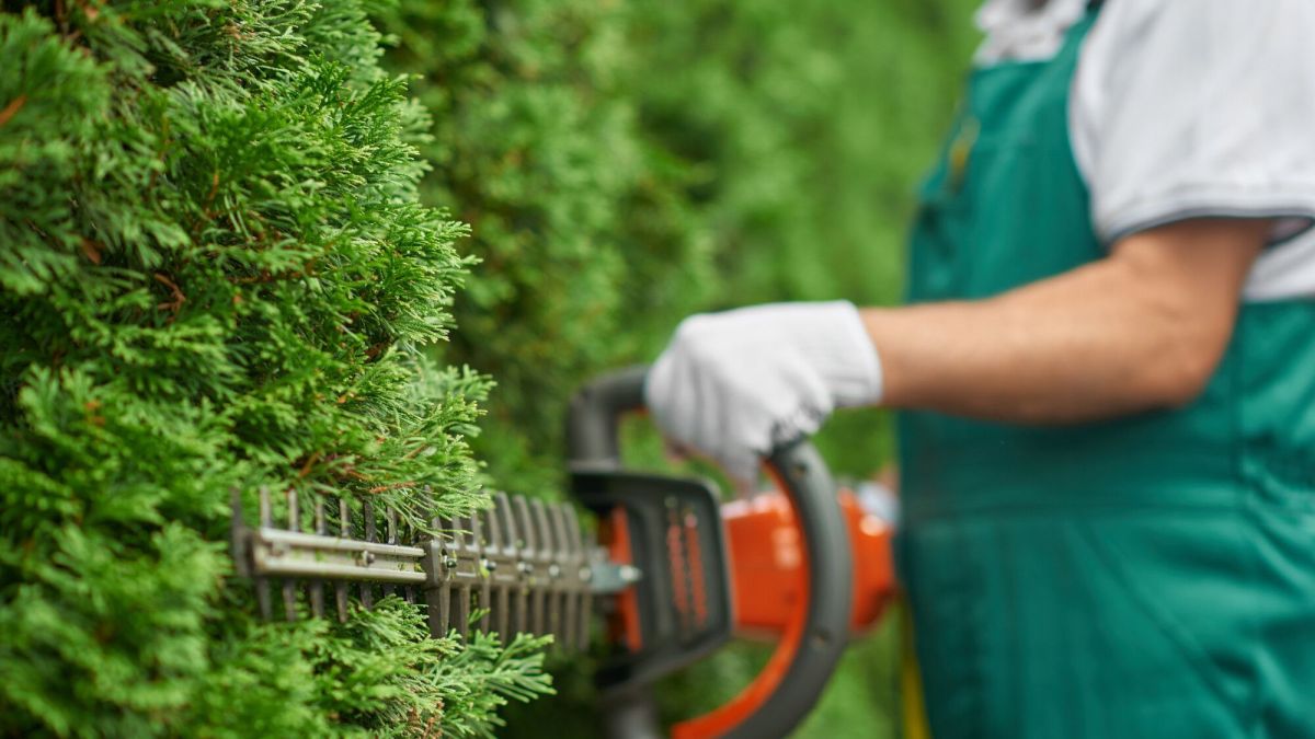 Peut-on déduire les frais d'entretien de son jardin pour un crédit d'impôt ?