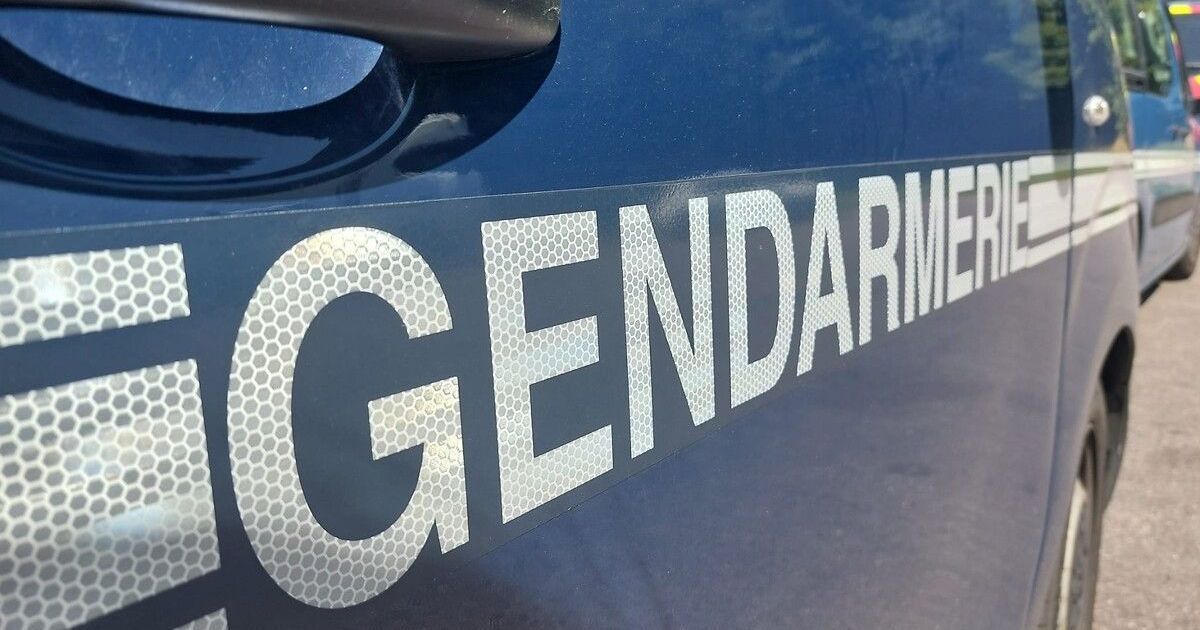 De l'horreur à l'espoir : 200 bovins sauvés d'une ferme dans le Calvados