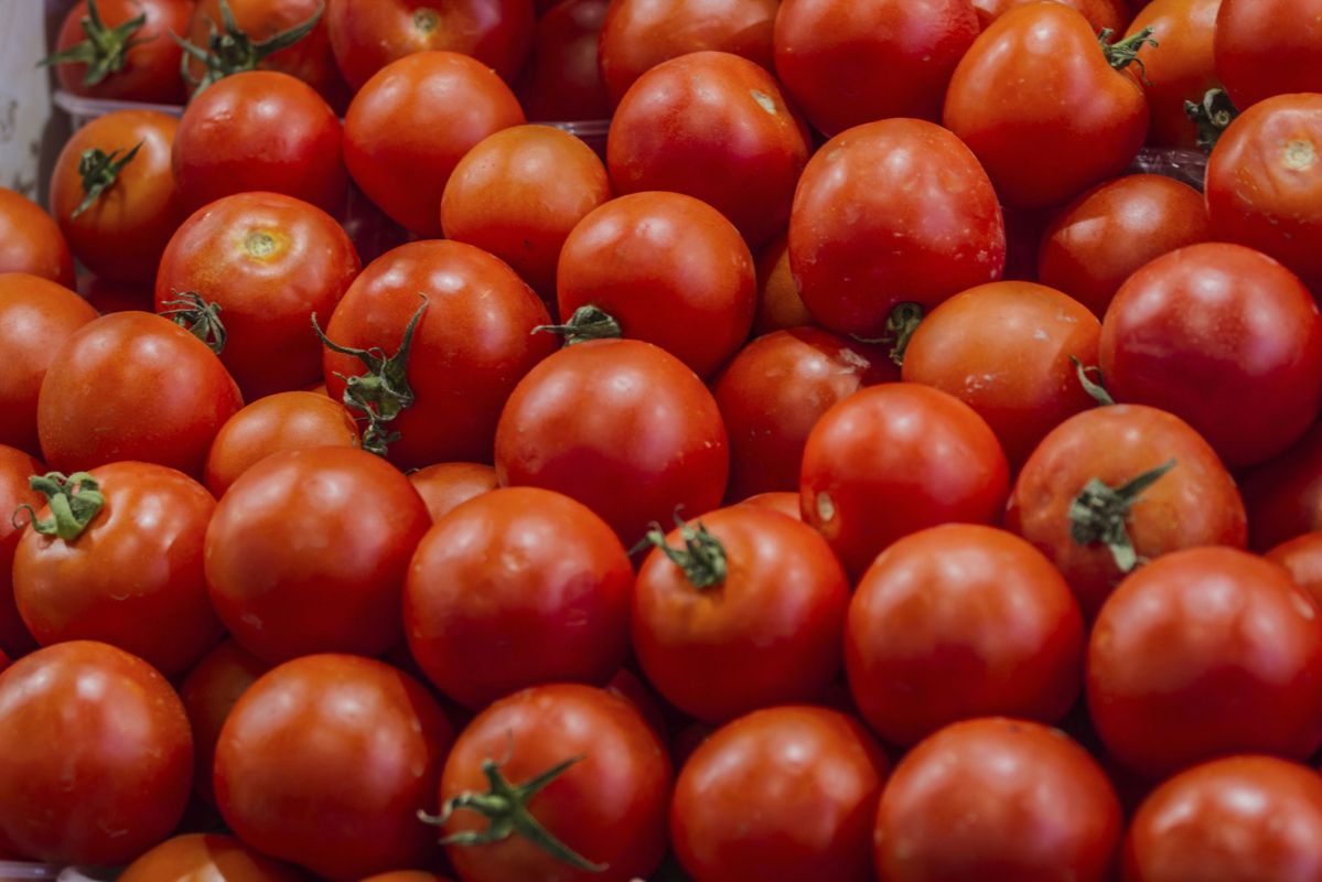 Manger des tomates pour booster la fertilité masculine ?