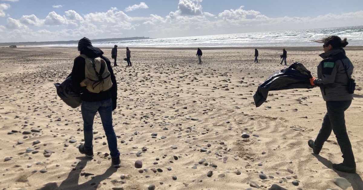Un grand nettoyage pour préserver la plage de Vauville