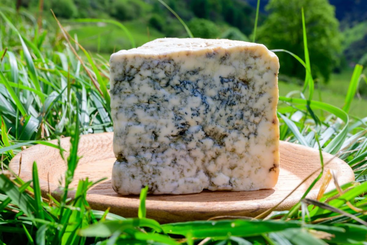 La vente record du fromage le plus cher au monde : un délice tout en hauteur