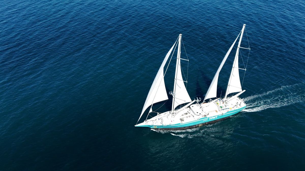 la compagnie maritime TOWT confrontée à la liquidation: entre crises et opportunités