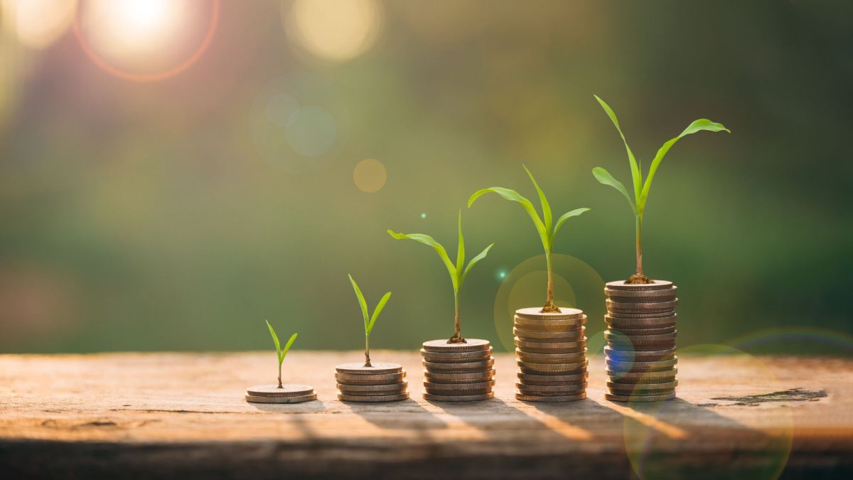 Placements verts : attention aux pièges des promesses miraculeuses!