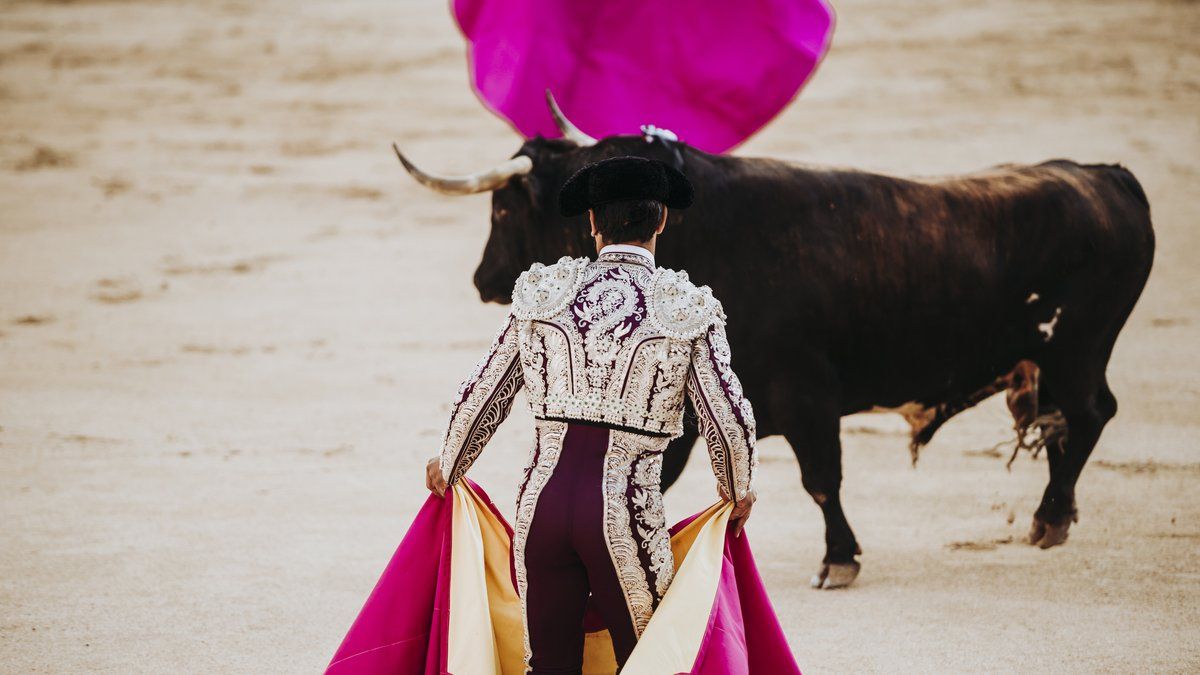 Un tragique accident dans les arènes de Malaga : un ancien matador perd la vie