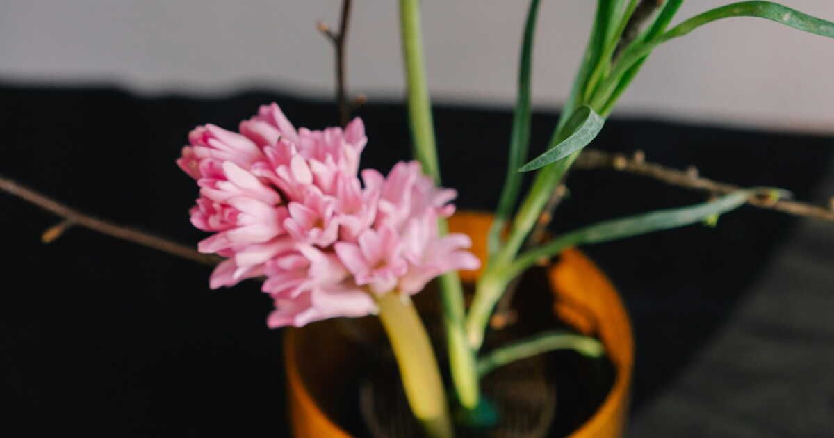 Transformez votre jardin avec un support en argile auto-durcissante