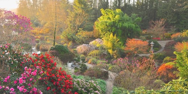 découverte sensorielle au parc floral de la foltière en haute bretagne