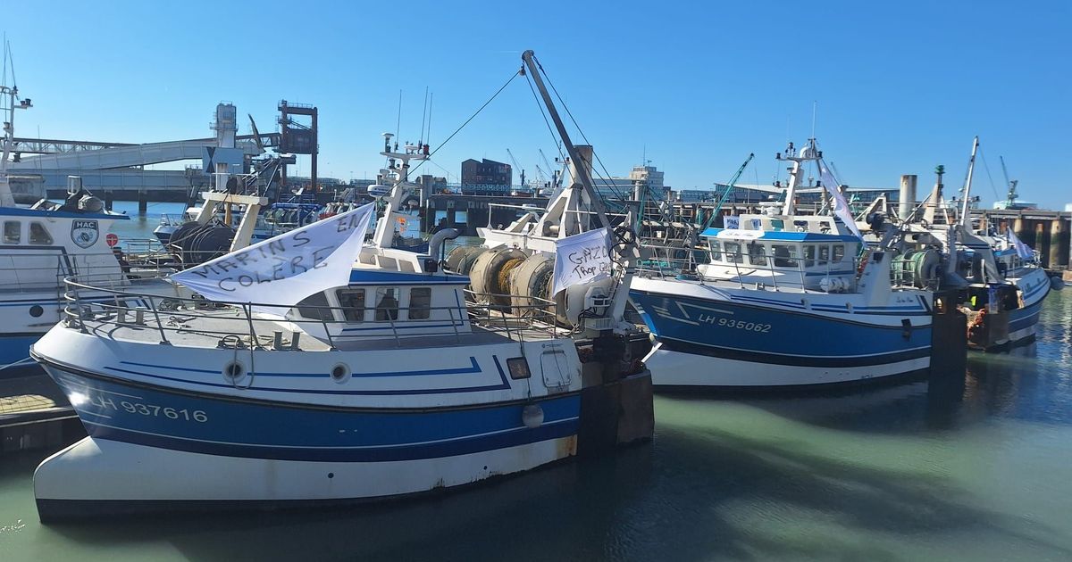 Pêcheurs du Havre en grève : une colère face à la flambée des prix du carburant