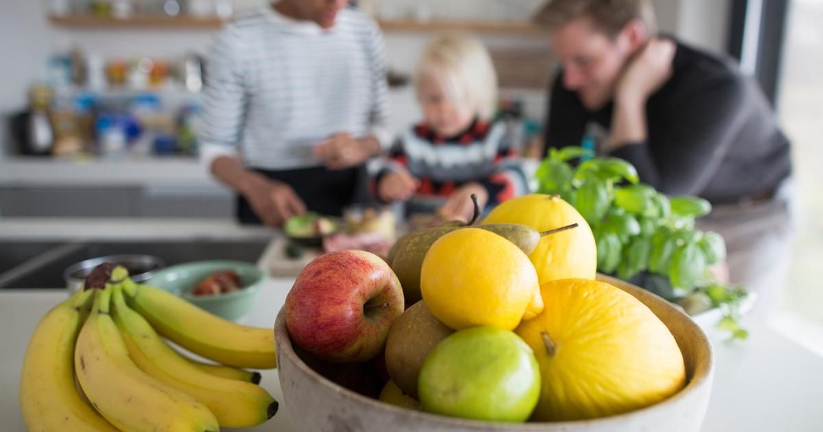 5 solutions pour éliminer les moucherons de votre cuisine efficacement