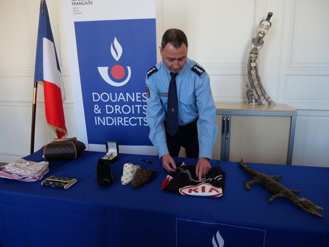 Douanes de Nouvelle-Aquitaine : une année record de saisies inattendues