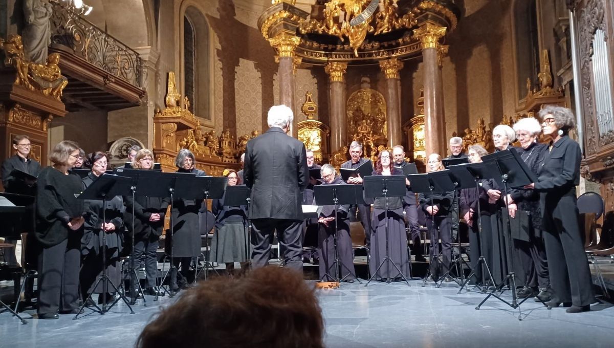 Entre Mozart et projets uniques : plongez dans l'univers du chœur Alma Musica à Caen