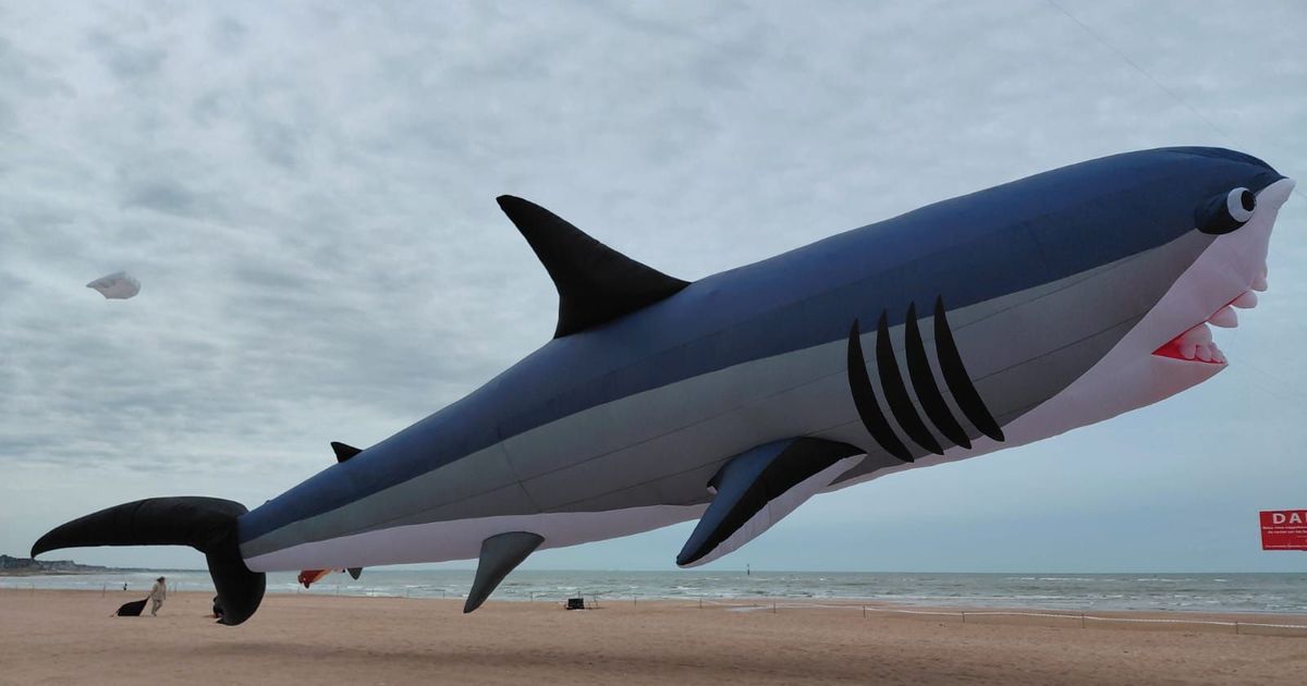 Houlgate en fête : le festival de cerfs-volants Plein Vent promet un week-end coloré