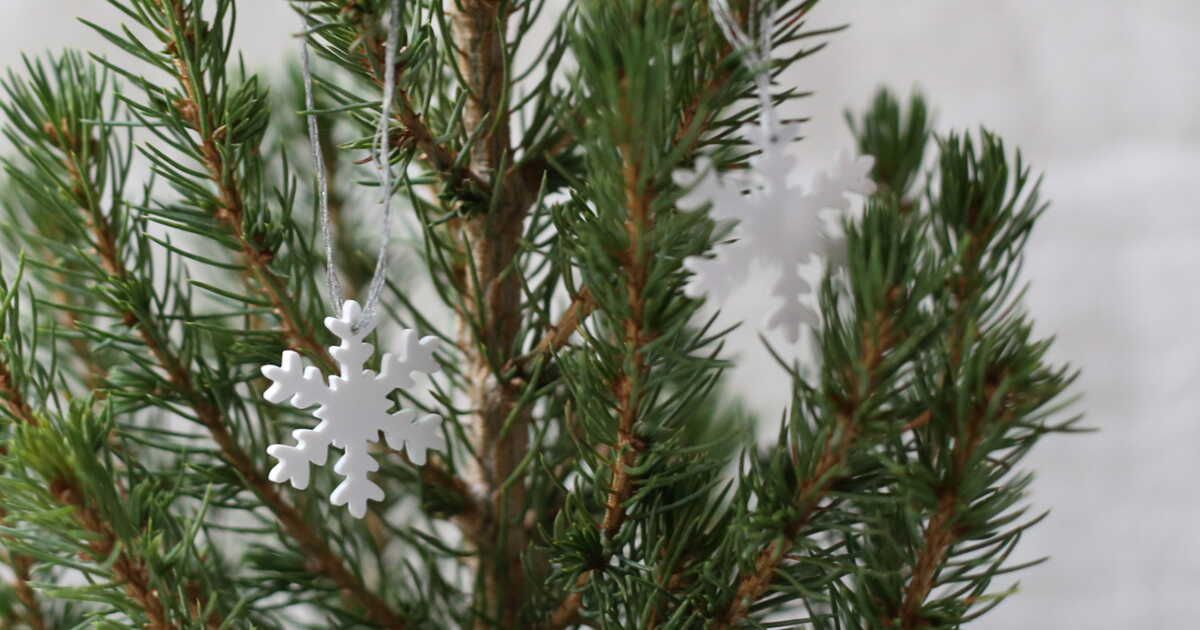 Transformez votre sapin de Noël avec du plastique fou