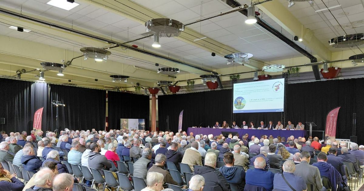 Les chasseurs du Calvados face à une crise financière alarmante